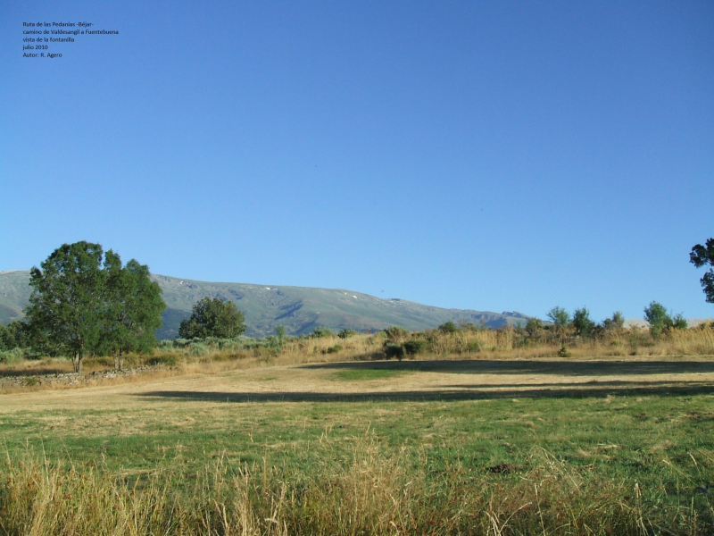 000f83c81324bfb569803686e559d409