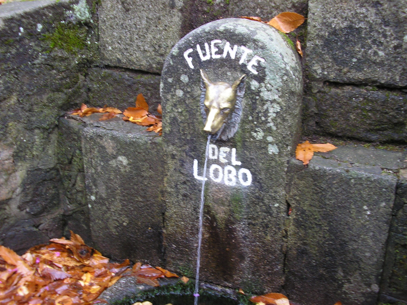 0454088244992443f50e12d46603788d