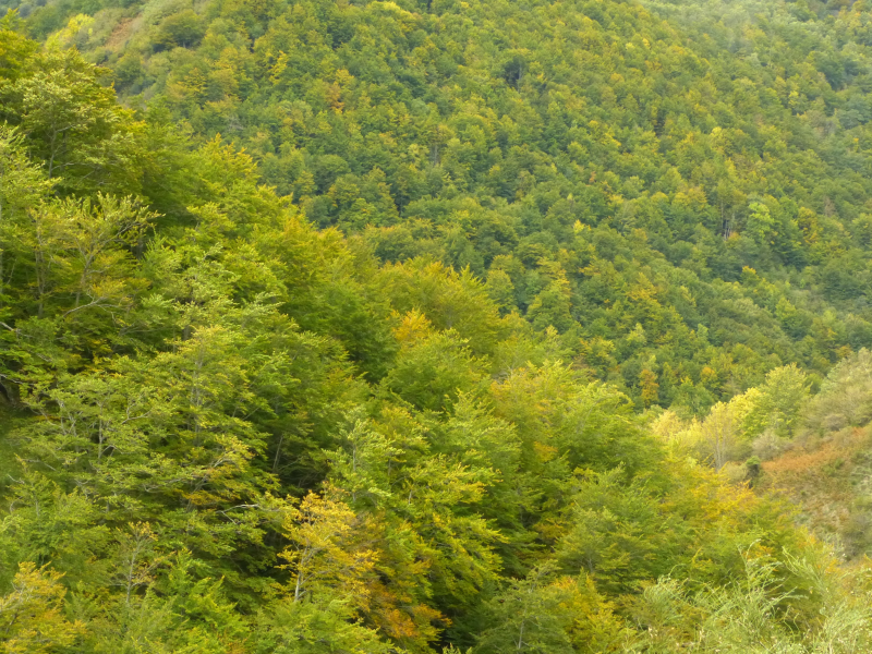 0b6734a6fb21d9fa33da8458e0b174f8