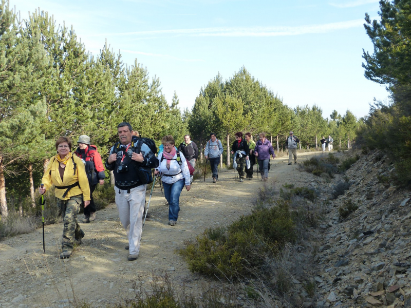 0c68279230c87c294f947da35caf85c5