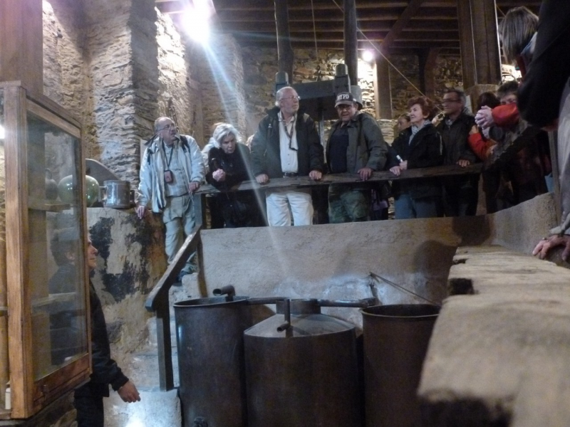 13a50a566f29fdc77adf11721616a6e1