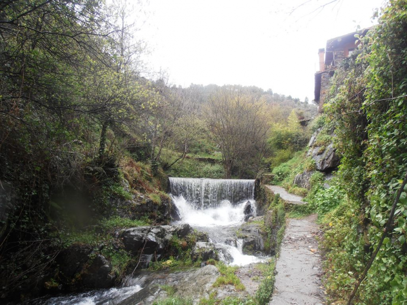 142efc6773f09612c3f723f52ea001d5