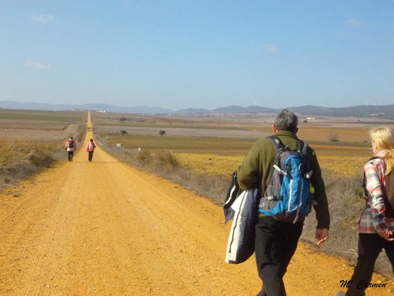 1a4c4569f0bc1370c65b2fb73bc96f6d