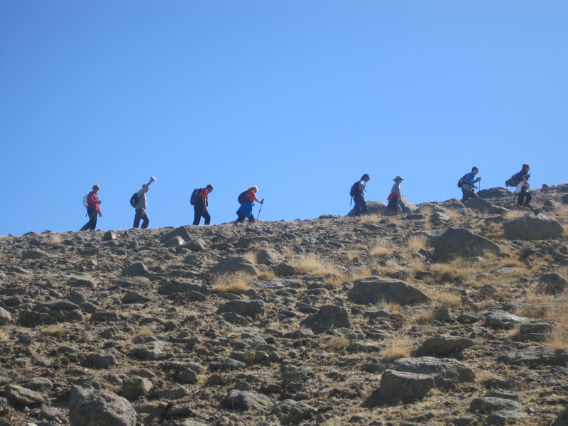 1bc9ccb063dbf5c3f8c7b1d91333c140