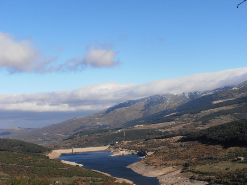 1cfec89783ac4ae591344e198ab5e793