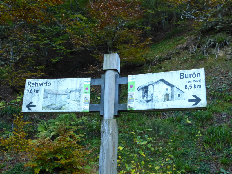 223e0884aaf3f6fca785f2b0dca7c519