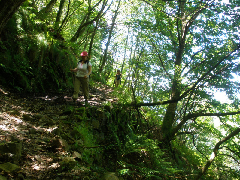 246ac1e39deac59a809a9ec335a993e0