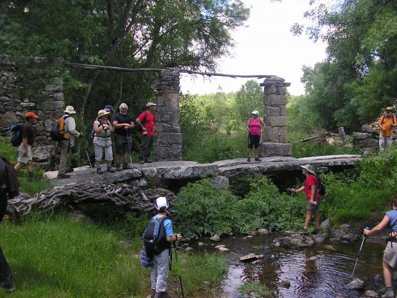 25d764060b355eb8bb86ff44c7b3ea97