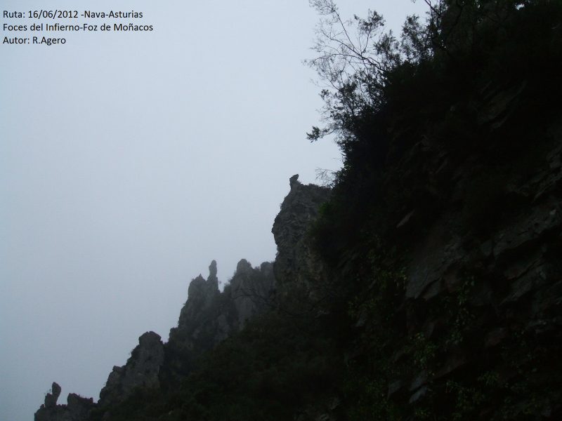 29640b3c45165ce4107a9c9df12bf544