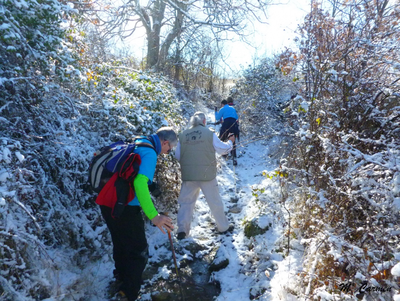 2c58efc070916de67f1c14893da7f2f1