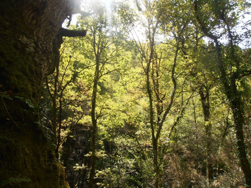 2eb7823dbca3b9af0ad95ab31498f259