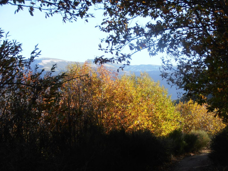 33efce1e602e3a7de001873fc38fd811