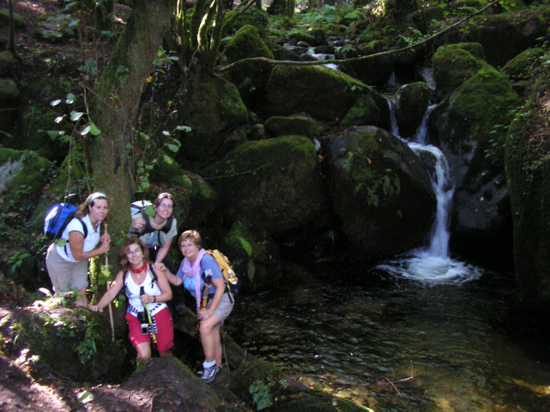 344a23edeea6407402f0d37731474ad0