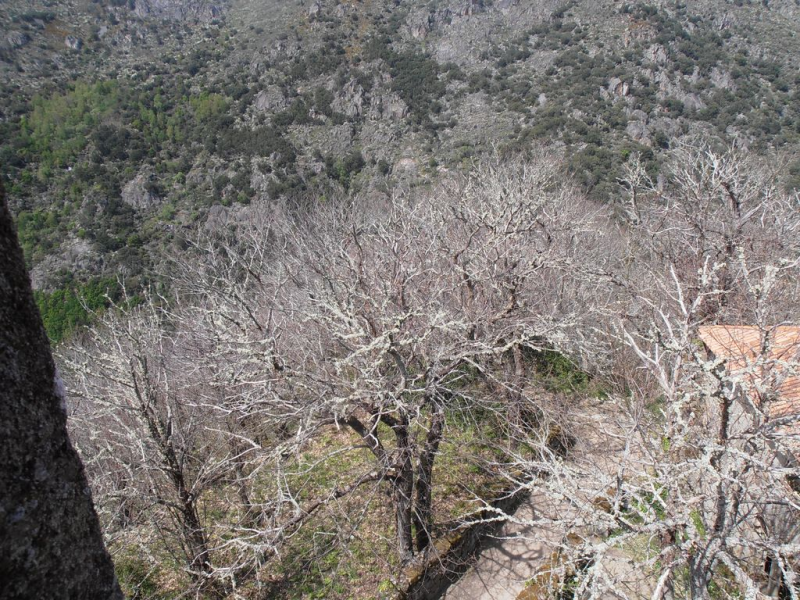 357ec4ab1b6d8da3bffb7a9c4ebf839e