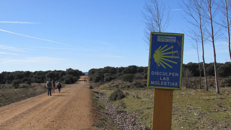 36680de995557e0a36f5be33674b4851