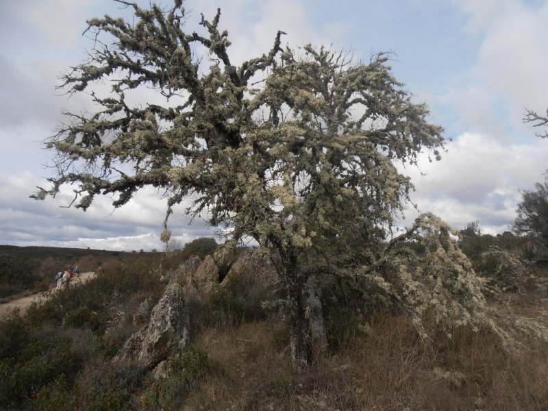 37e87ccbc616be0207af65af55cca89c