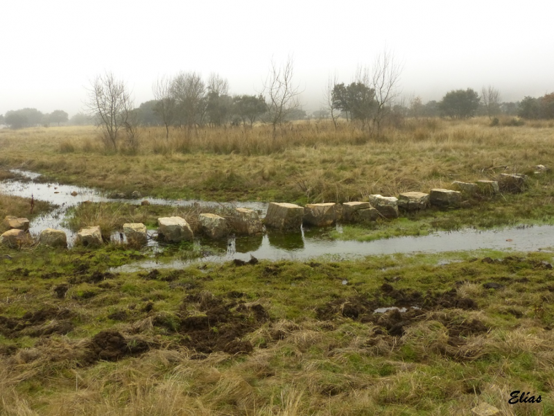 385751754f657603e17e622ba733d8ed