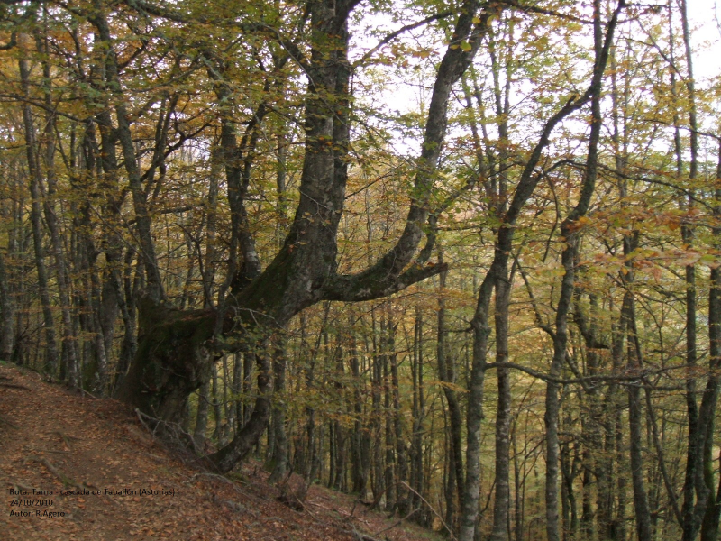 3951fe9c01188a16313e0bd96c801c46