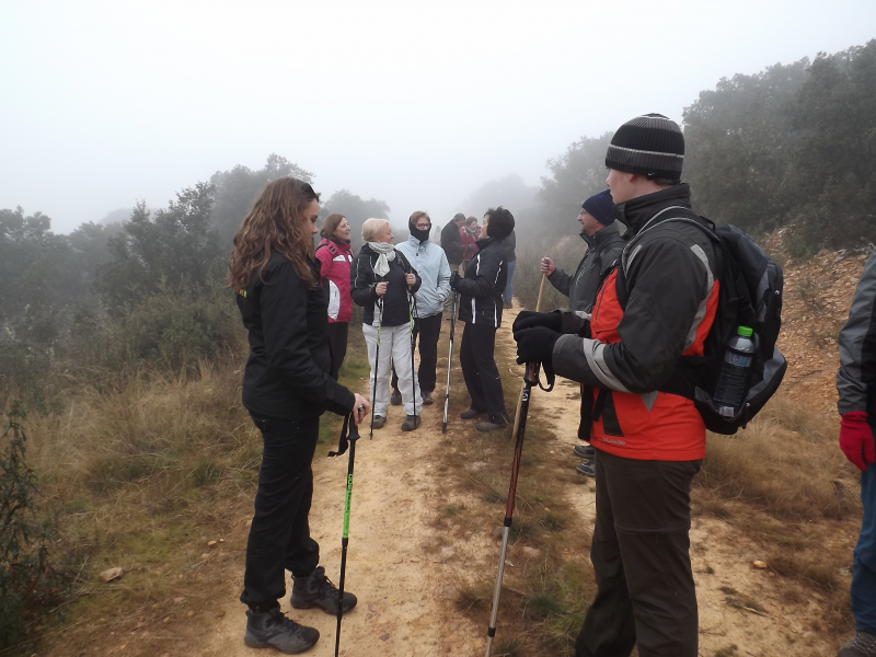 398c85de3d0fad1fbf420b140d9cd503