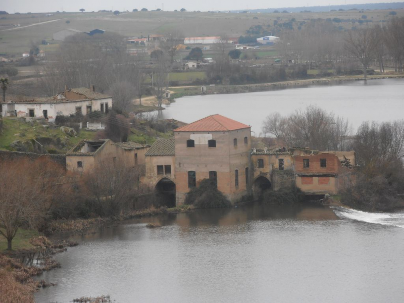 4398d83c187152337497fc7a80c452d1