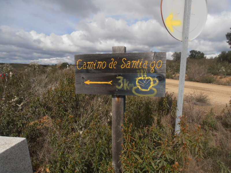 4532a53e19a166fa9021caf90e40baca