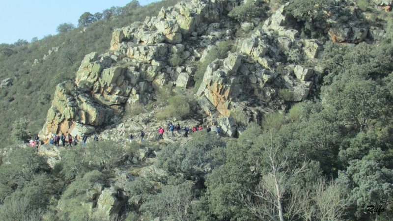 4596ff2ed334f112196661a9784fe739