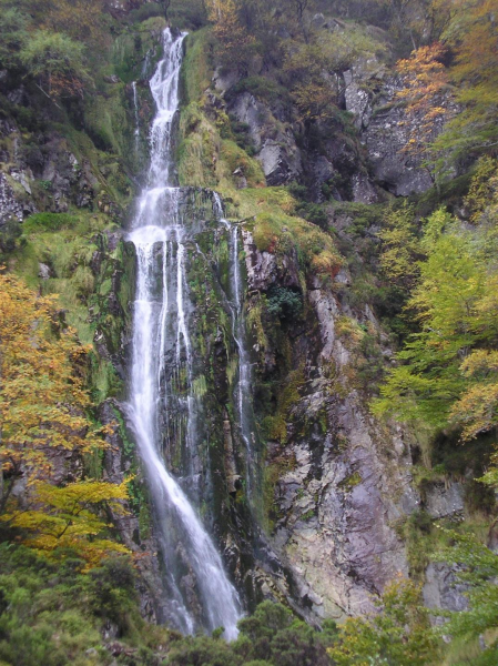 45df0d0c9d336782b2852d3f54ca458c