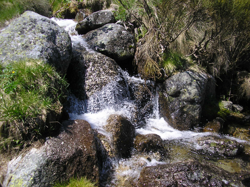 475b5b3d6a1928fabd763e2705f05f07