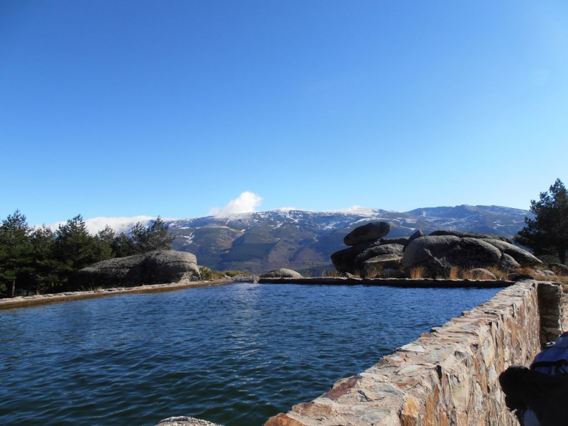 498555a3b52e095849e1aca7b32707d5