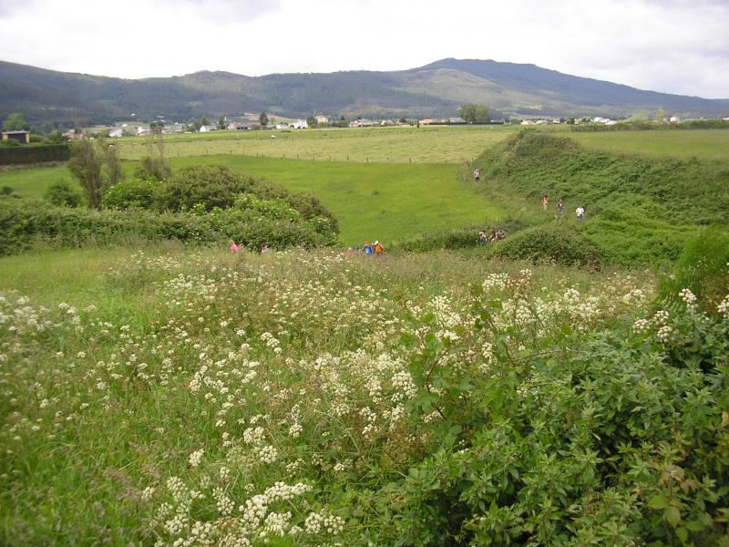 4a0f75b0ef70418168982ceba53ca9ff