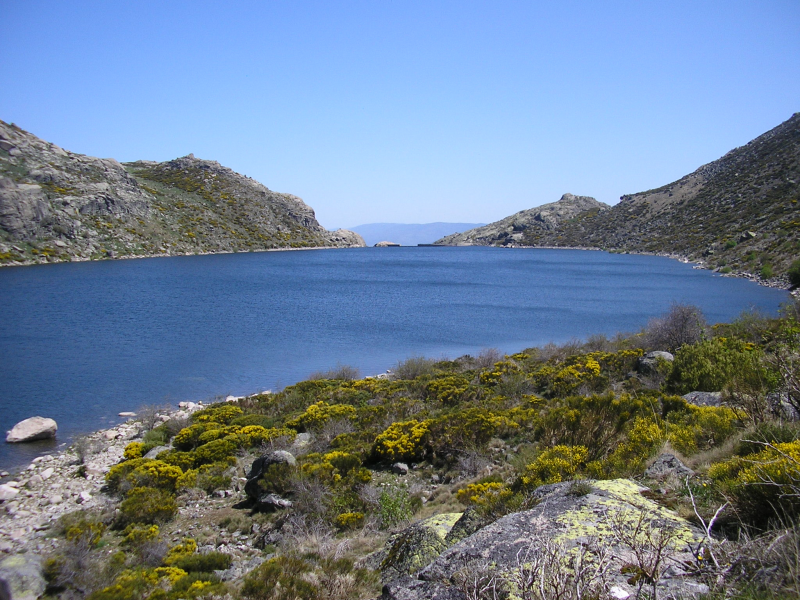 4b049761366a136ef9daadd5c1826be5