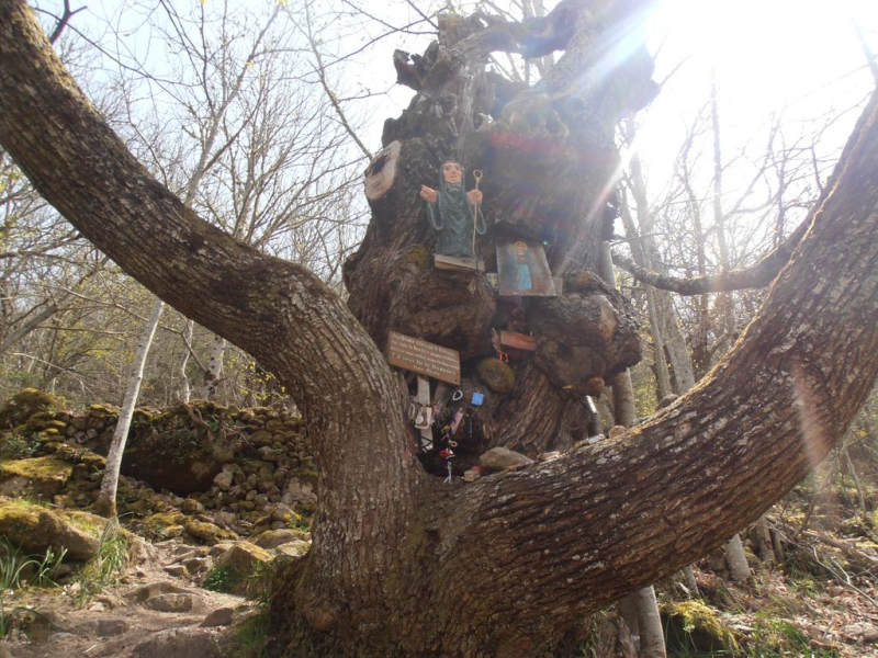 4da97d417b2298606d50c77897ed5ef0