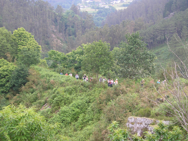 4dbadc712488038b999a51db8311b8ab