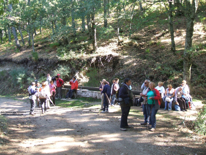 4e070783bf0235d915b754dde1e3d297