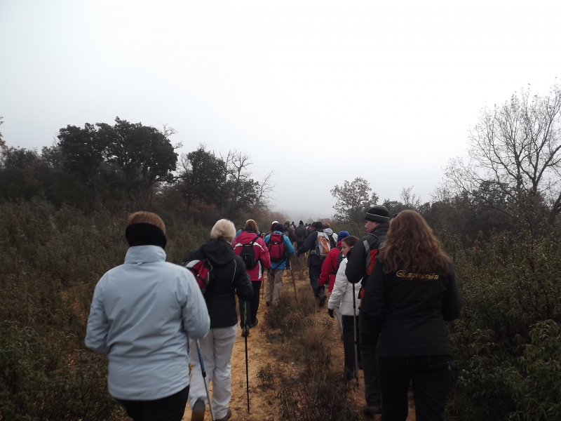 4f34301b49aaacb7a4c97fa5d42209d9