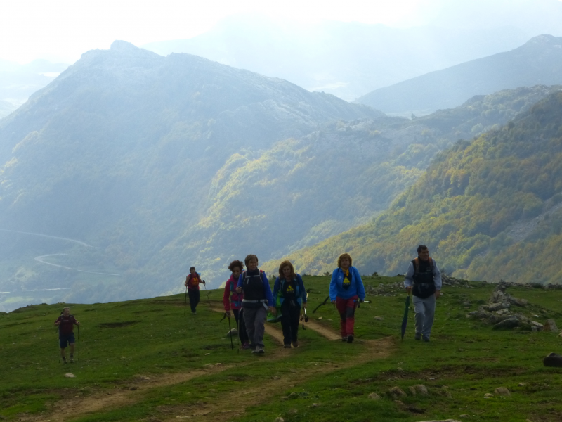 5021d8bd6c27188b4309a17729b737ce