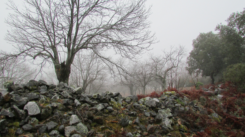 5120e7fa4903d7b6903055a17ac8480e