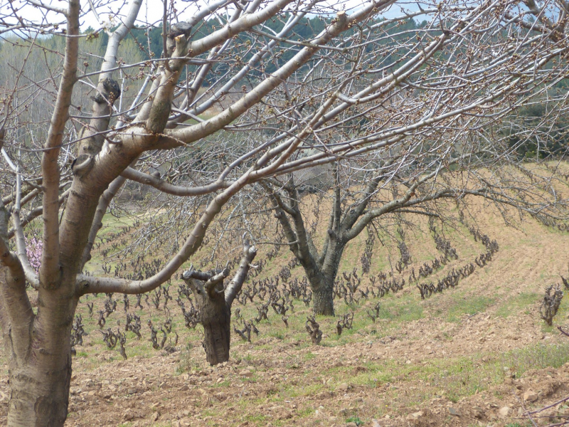 553309fe00a4c577029f66b91879deb6