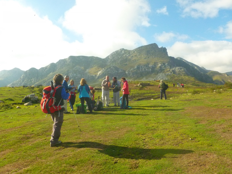 5ae3a4fe8c121966934265c775959c84