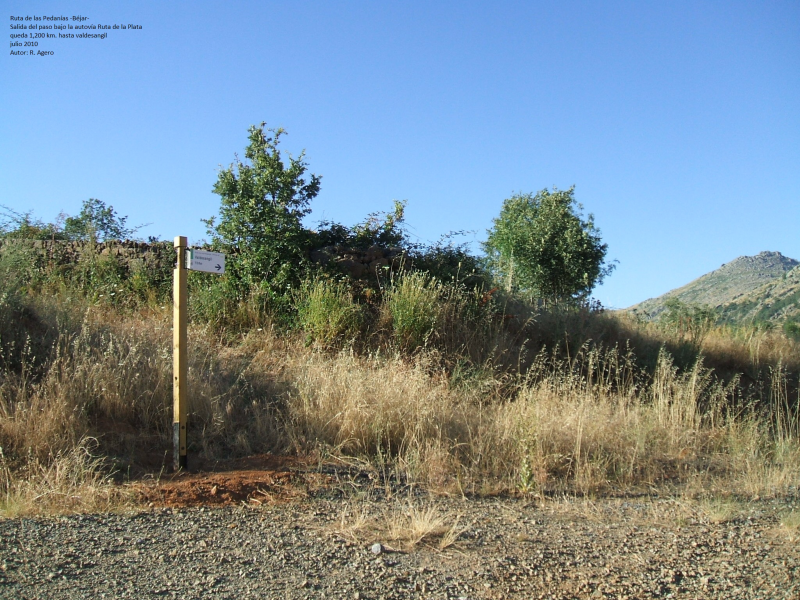 5b43d403859b673163c52f7cb4121a89