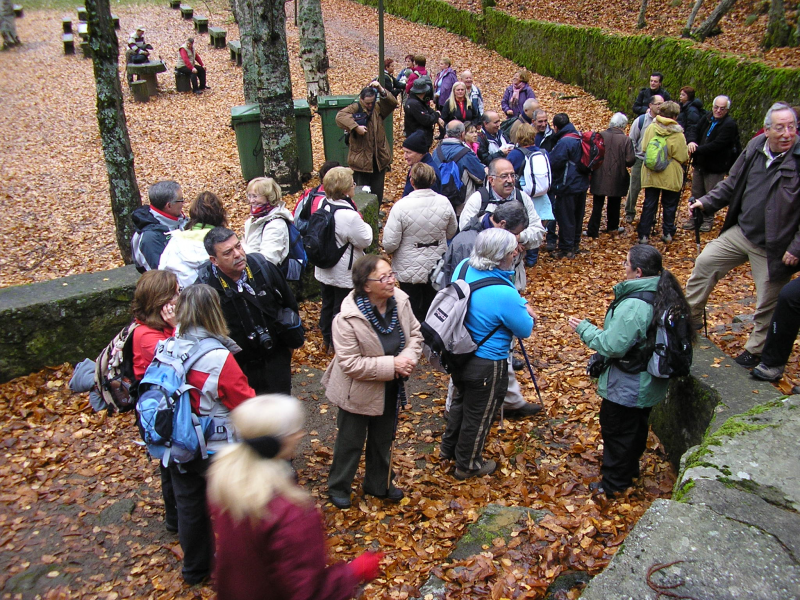 5ea71f56bf94444f73a8548f742cd13d