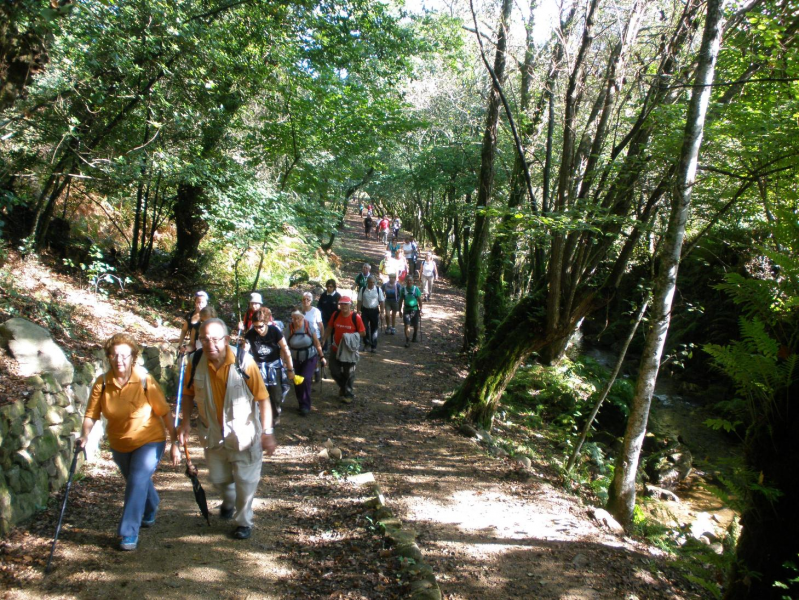 6169ac176606f900aef91ec4d365496b