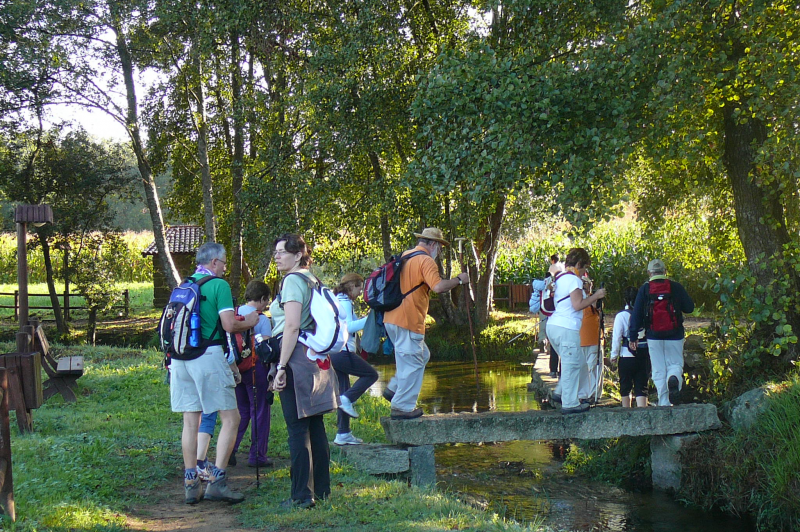 617b53f755635d23a8a6234e62e62bf3