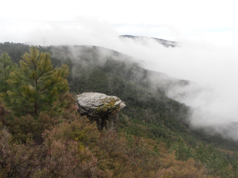 65ece150b476581c1643ae92a8b24714