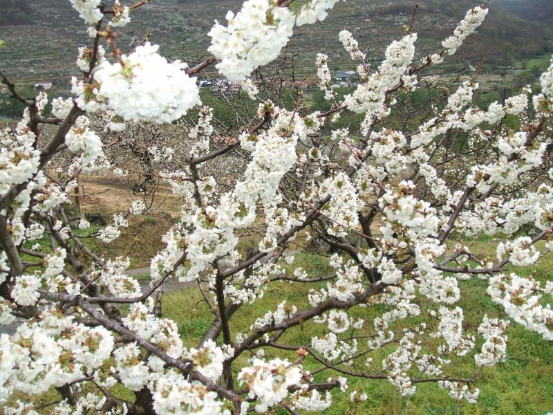 66314691f6feb60579afcb9105e9a17b