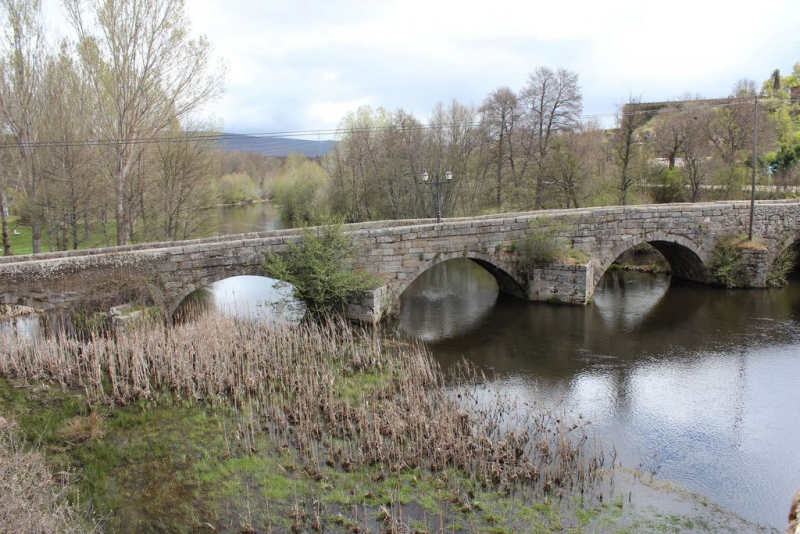 687811c911c915bc99ac6efcd8c6cc15