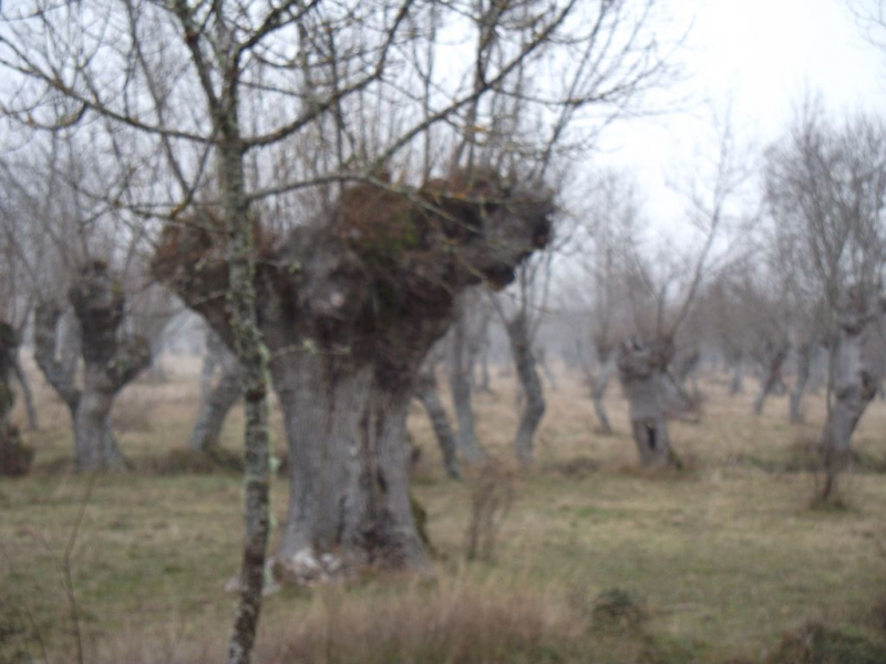 68d2c3468f50c1606d09e998a0e8b5b6