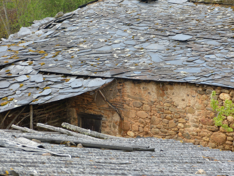 68efe37b8efb98cc1f0cddcda89d19bd