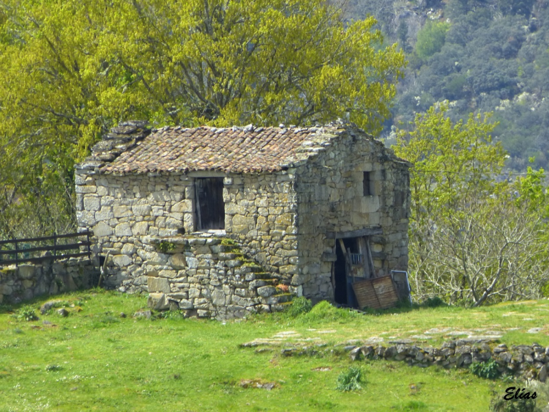 6e54824b1db4345dbf7078867f98ae1b