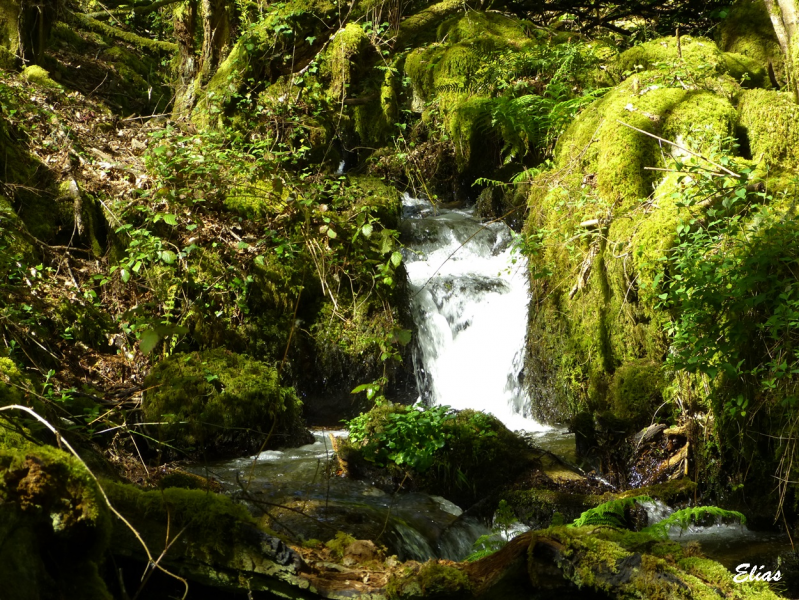 76faede221db93b8331fd57b589104e8